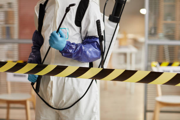 Professional Sewage Cleanup technician working in Cecil, AR